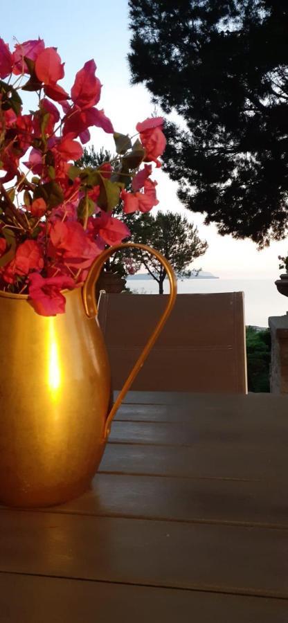 Casa "Le Terrazze" Villa Erice Eksteriør bilde