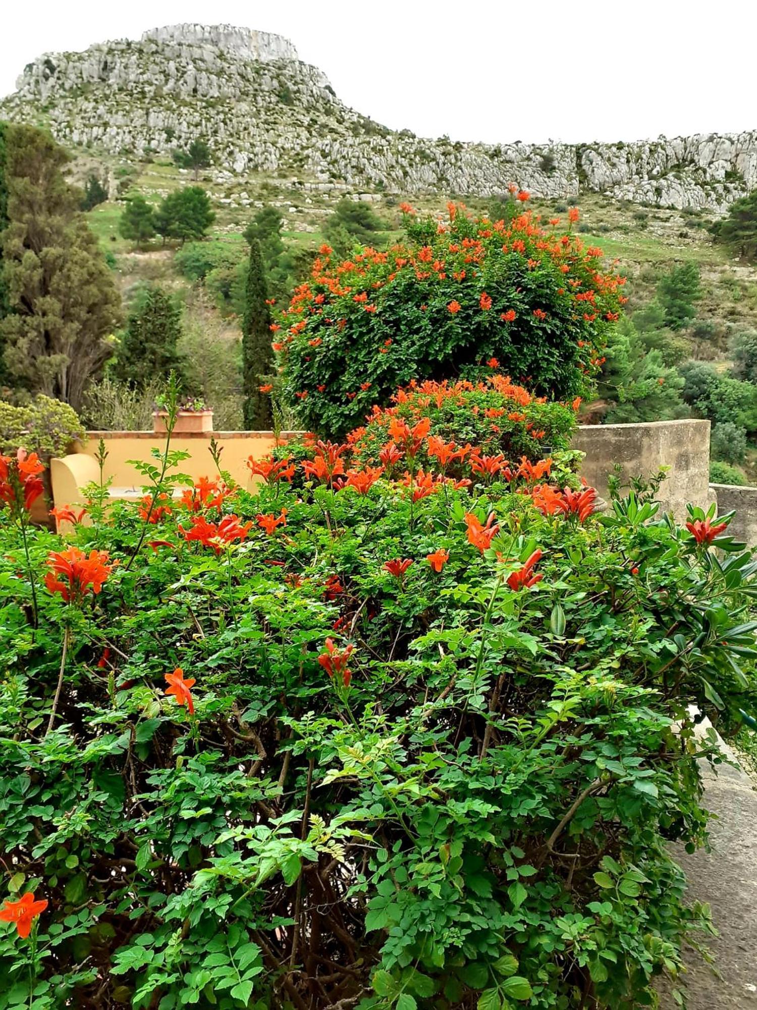 Casa "Le Terrazze" Villa Erice Eksteriør bilde