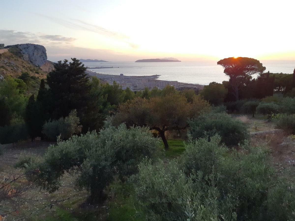 Casa "Le Terrazze" Villa Erice Eksteriør bilde